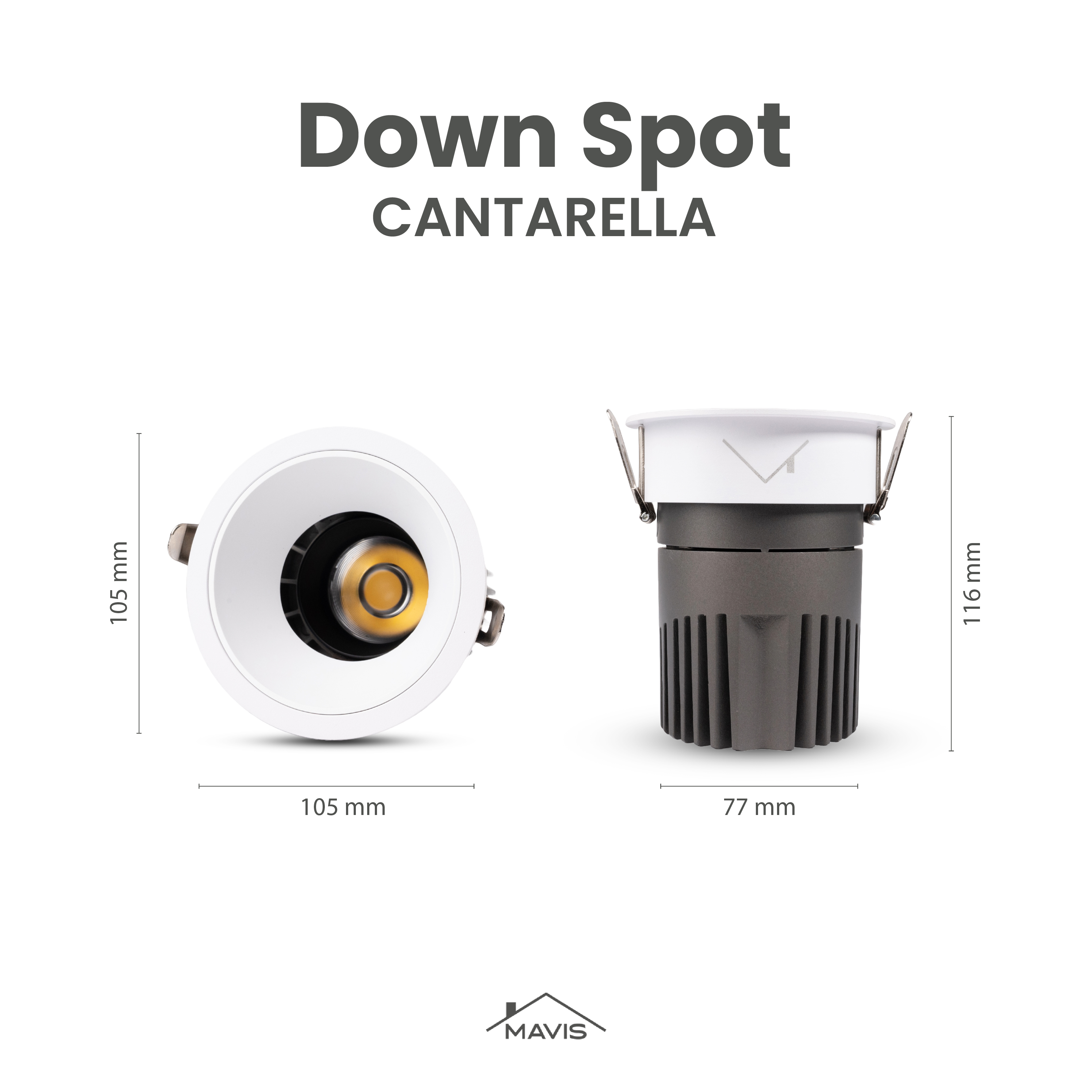 CANTARELLA
